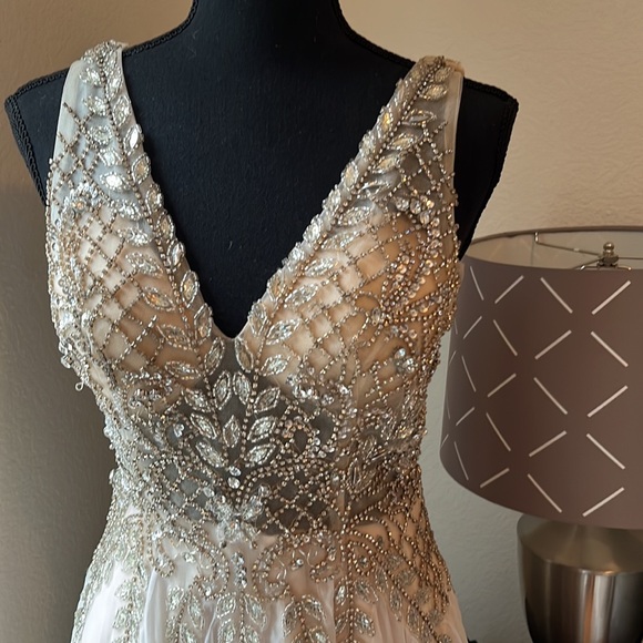 Tan Gown Size 9 - Picture 3 of 9